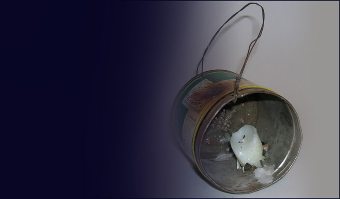 Bug light, Private Collection. Photo NVMA.