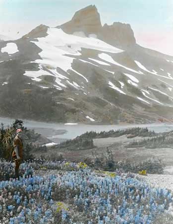 Dorothy Ingraham amid wildflowers. John Davidson Lantern Slide 533, UBC Botanical Garden and Centre for Plant Research.