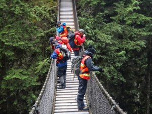 Five team members look down into a canyon from a suspension bridge.