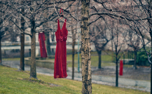 Jamie Black's REDress Project is described as "an aesthetic response to the more than 1000 missing and murdered aboriginal women in Canada." Photo: Sam Javanrouh