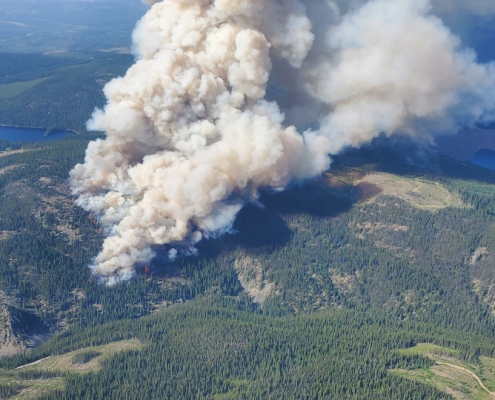 The Brenda Creek wildfire is seen in an image from the BC Wildfire Service on Wednesday, 14 July 2021.
