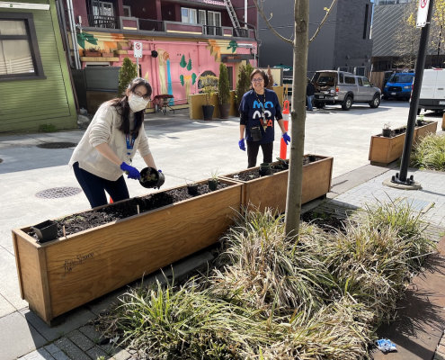 As part of our Earth Day activities, MONOVA staff began work on a Coast Salish Garden in Museum Muse under the guidance of Indigenous Cultural Programmer Tsawaysia Spukwus (shown right). Photo: Laurel Lawry